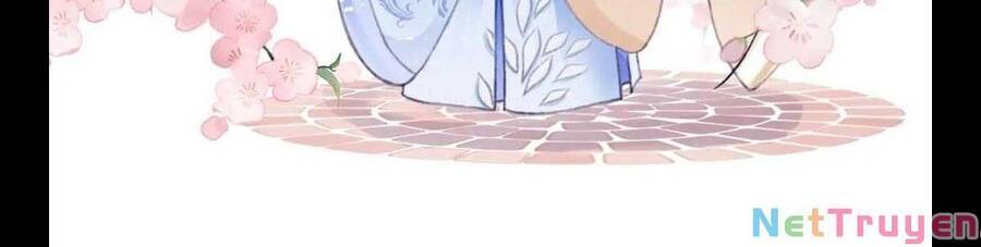 Độc Bộ Thiên Hạ: Đặc Công Thần Y Chapter 350 - Trang 2