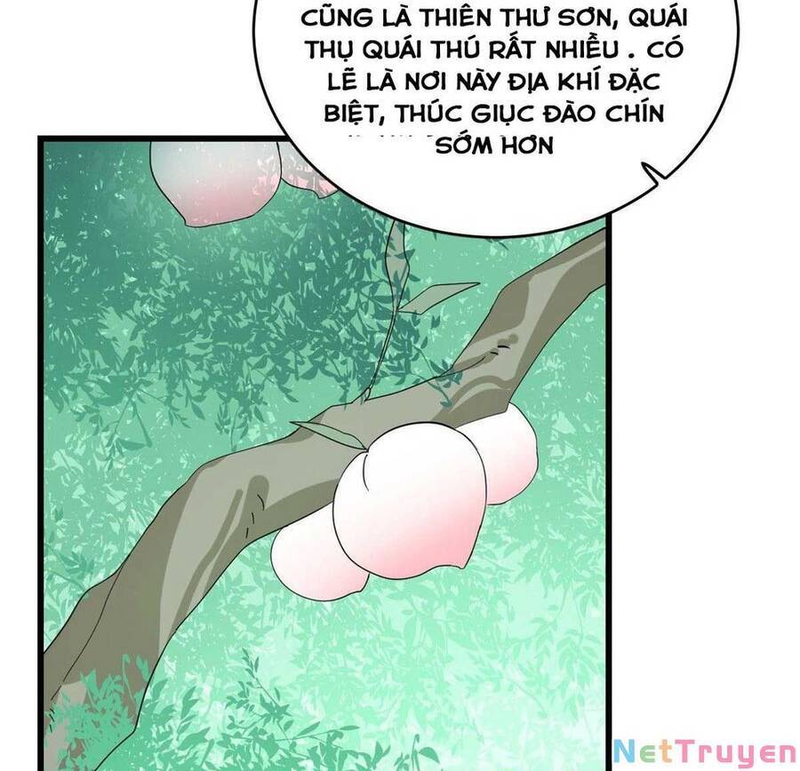 Độc Bộ Thiên Hạ: Đặc Công Thần Y Chapter 354 - Trang 2
