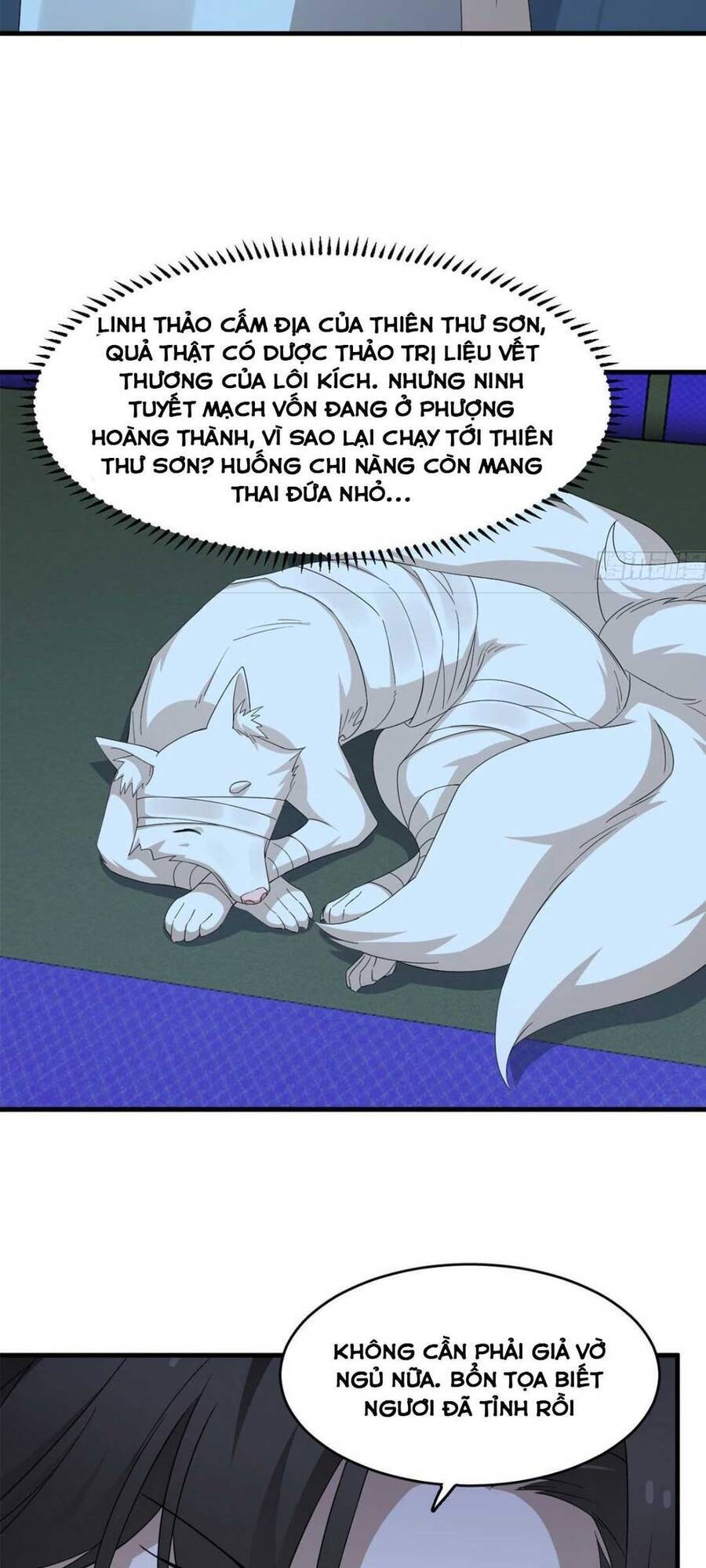 Độc Bộ Thiên Hạ: Đặc Công Thần Y Chapter 361 - Trang 2