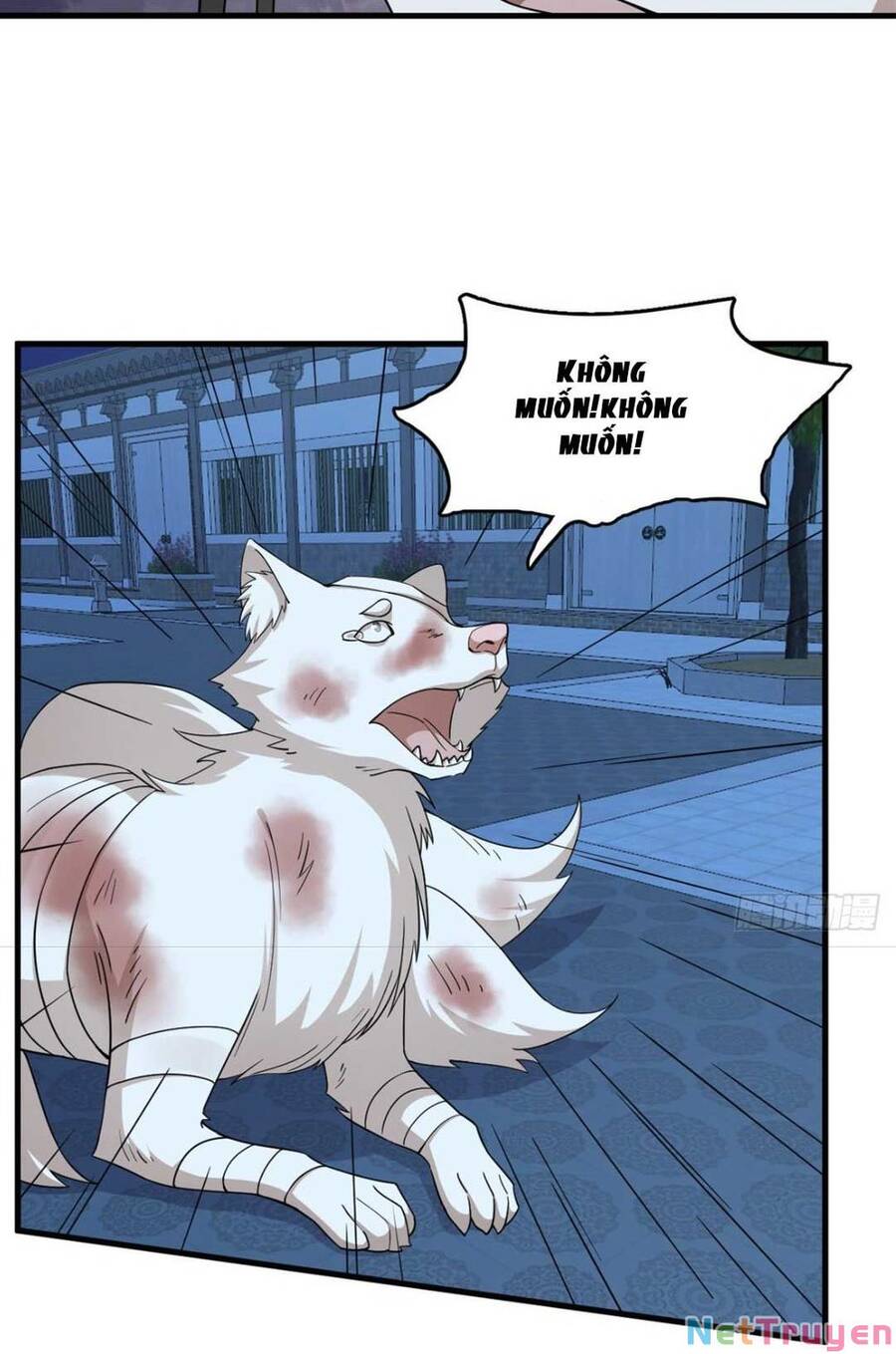 Độc Bộ Thiên Hạ: Đặc Công Thần Y Chapter 362 - Trang 2