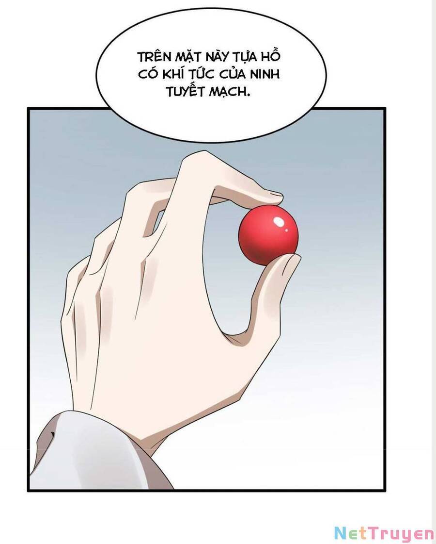 Độc Bộ Thiên Hạ: Đặc Công Thần Y Chapter 370 - Trang 2