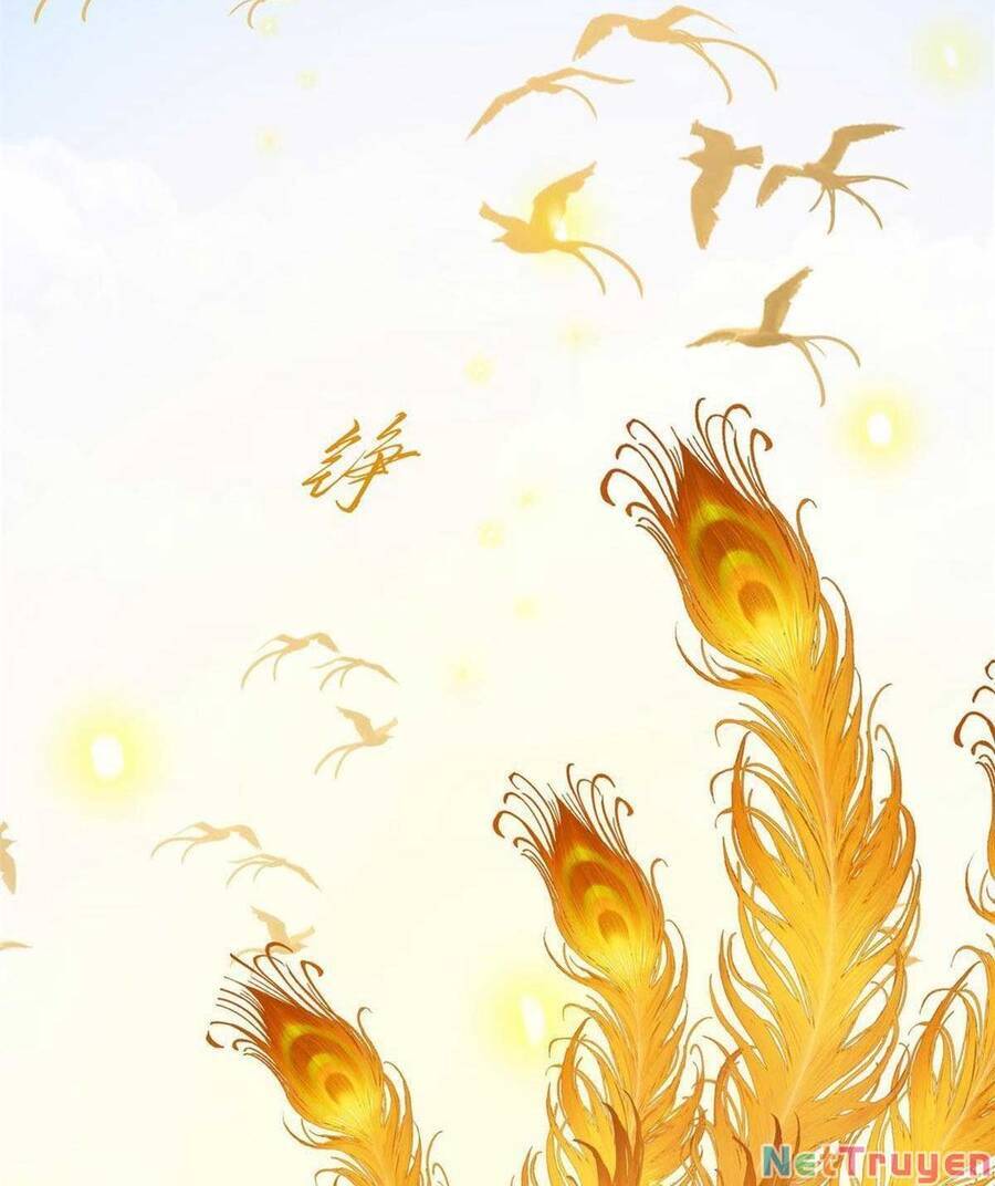 Độc Bộ Thiên Hạ: Đặc Công Thần Y Chapter 384 - Trang 2