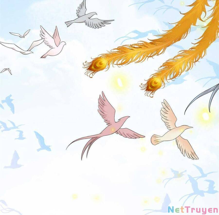 Độc Bộ Thiên Hạ: Đặc Công Thần Y Chapter 384 - Trang 2