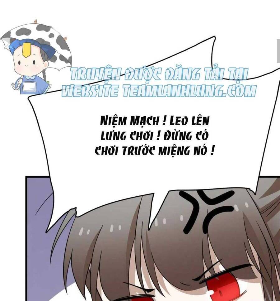 Độc Bộ Thiên Hạ: Đặc Công Thần Y Chapter 400 - Trang 2