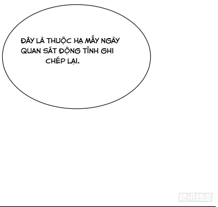 Độc Bộ Thiên Hạ: Đặc Công Thần Y Chapter 8 - Trang 2