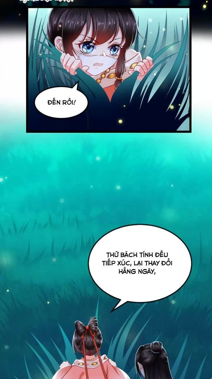 Độc Phi Ngu Ngốc Không Thể Chọc Chapter 113 - Trang 2