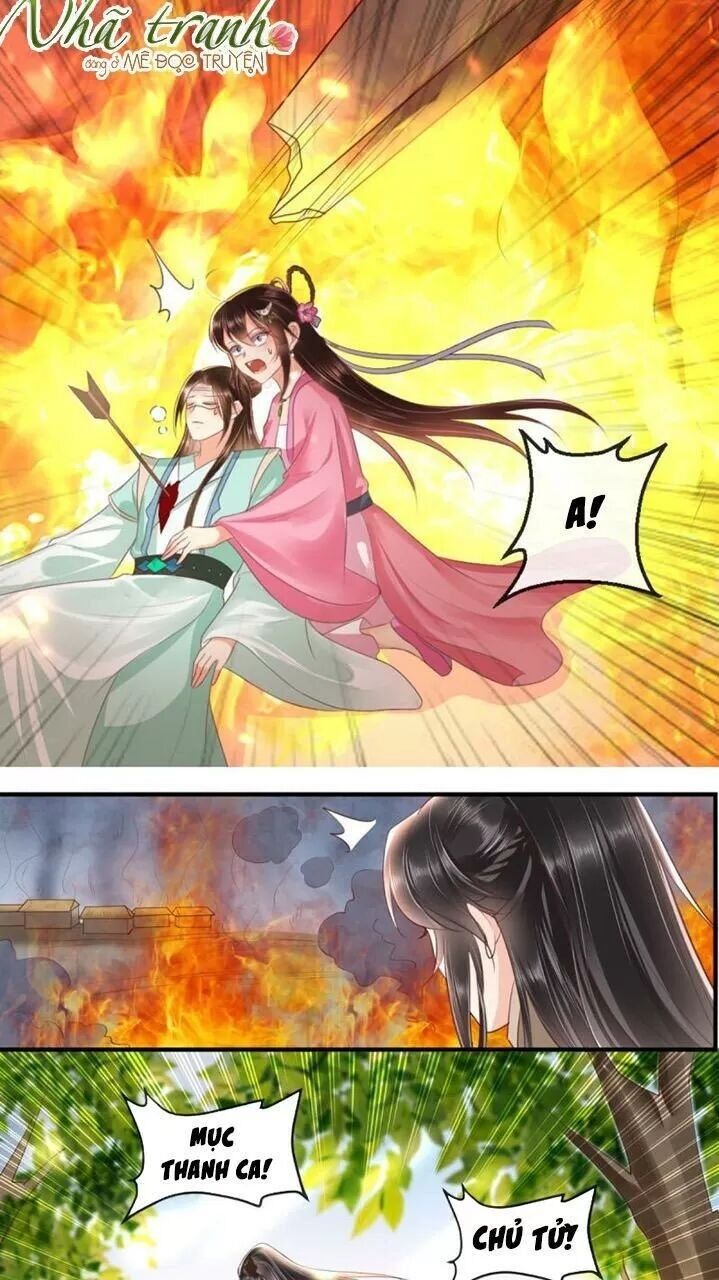 Độc Phi Ngu Ngốc Không Thể Chọc Chapter 116 - Trang 2