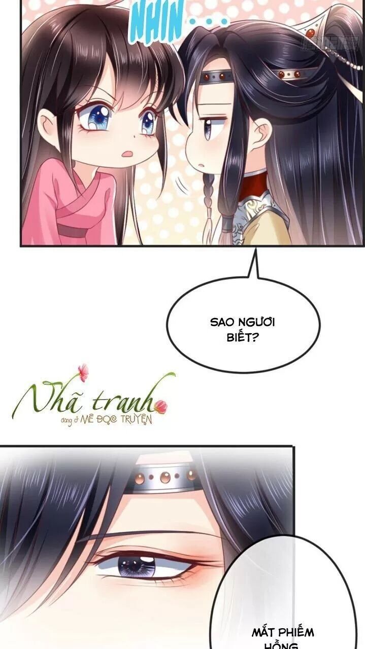 Độc Phi Ngu Ngốc Không Thể Chọc Chapter 118 - Trang 2