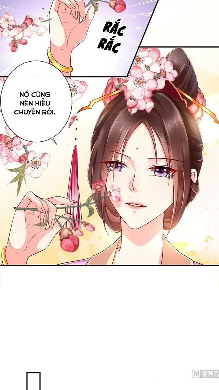 Độc Phi Ngu Ngốc Không Thể Chọc Chapter 133 - Trang 2