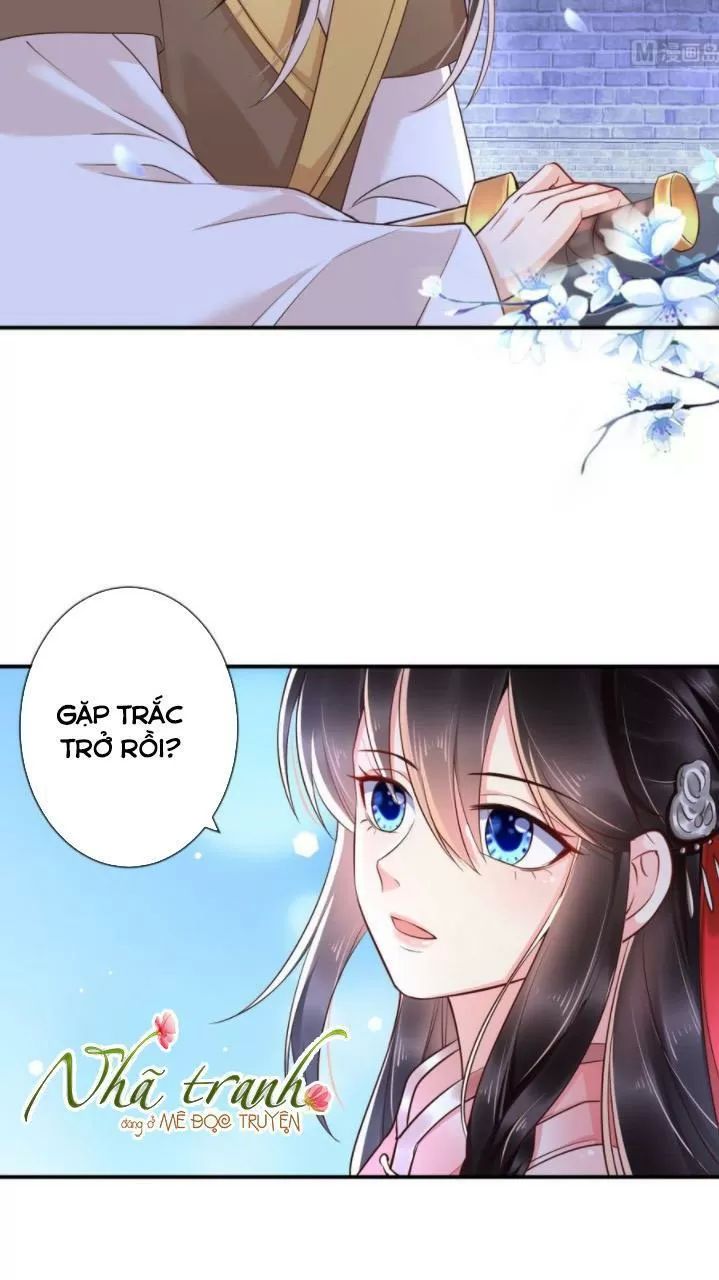 Độc Phi Ngu Ngốc Không Thể Chọc Chapter 134 - Trang 2