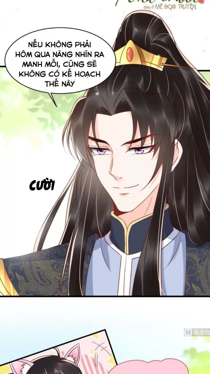 Độc Phi Ngu Ngốc Không Thể Chọc Chapter 139 - Trang 2