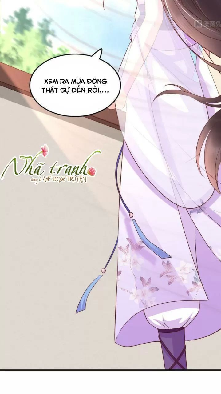 Độc Phi Ngu Ngốc Không Thể Chọc Chapter 142 - Trang 2