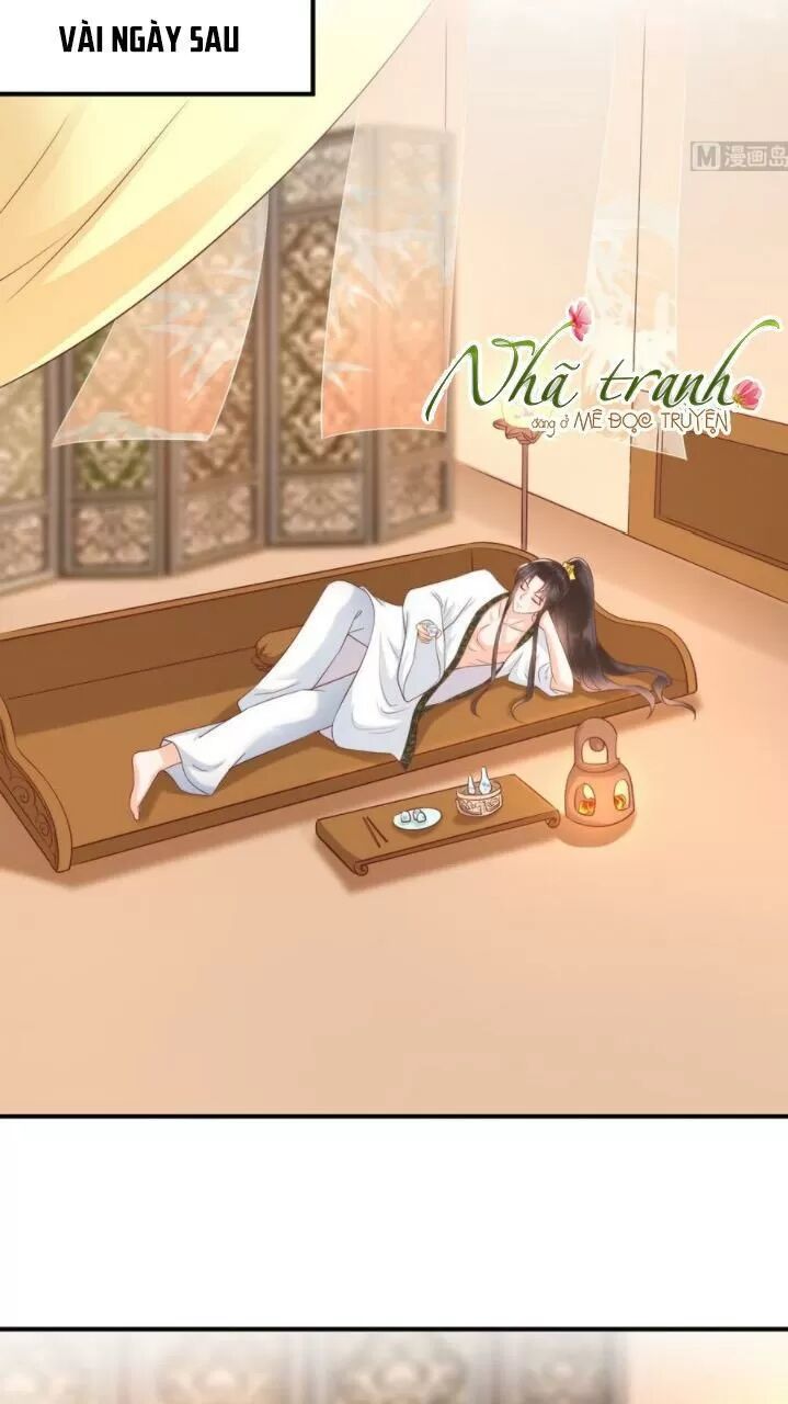 Độc Phi Ngu Ngốc Không Thể Chọc Chapter 143 - Trang 2