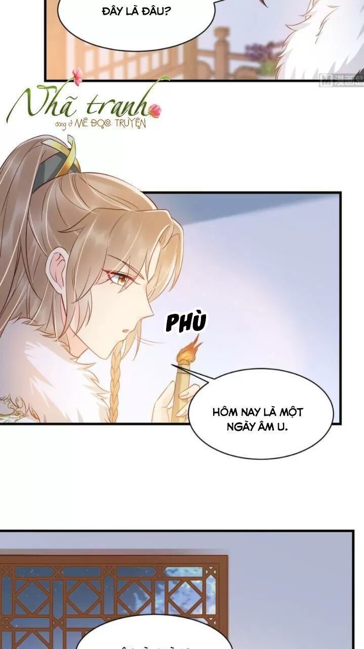 Độc Phi Ngu Ngốc Không Thể Chọc Chapter 145 - Trang 2