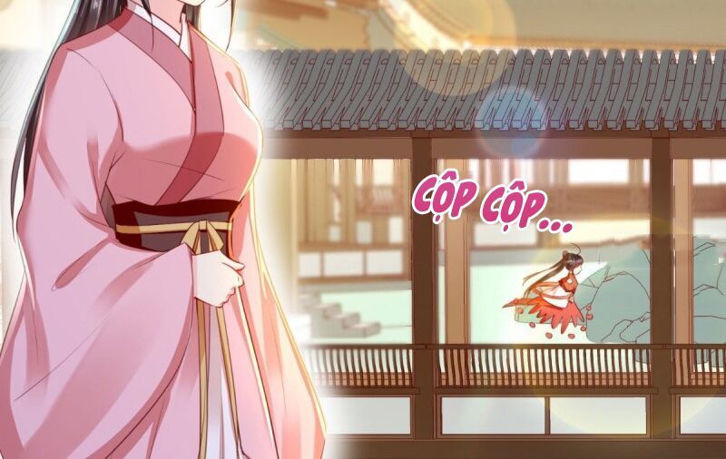 Độc Phi Ngu Ngốc Không Thể Chọc Chapter 94 - Trang 2