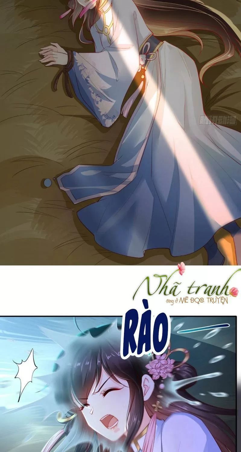 Độc Phi Ngu Ngốc Không Thể Chọc Chapter 97 - Trang 2