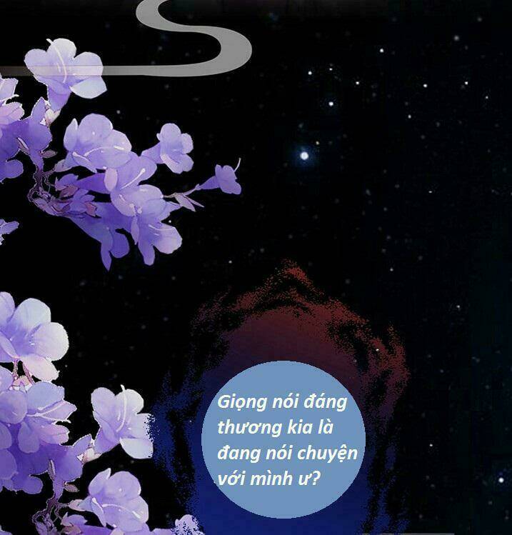 Độc Phi Thần Y Quá Kiêu Ngạo Chapter 1 - Trang 2