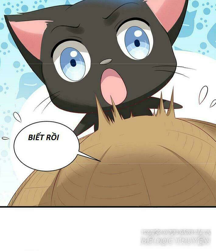 Độc Phi Thần Y Quá Kiêu Ngạo Chapter 39 - Trang 2