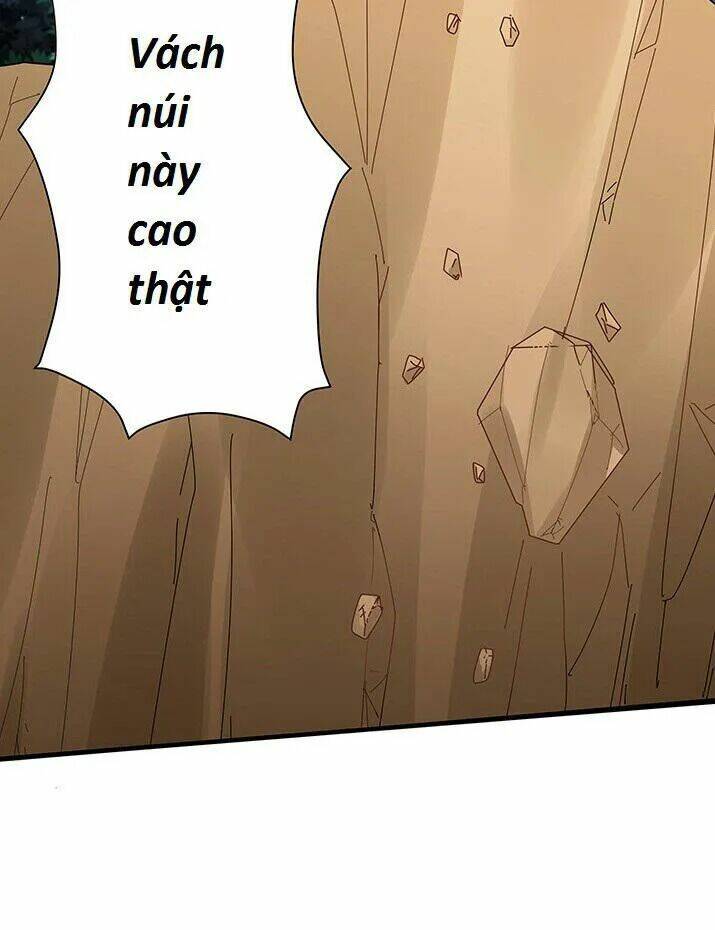 Độc Phi Thần Y Quá Kiêu Ngạo Chapter 4 - Trang 2