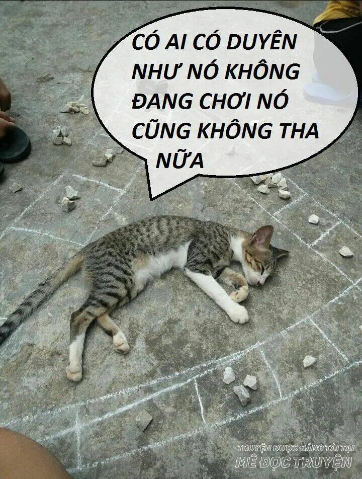 Độc Phi Thần Y Quá Kiêu Ngạo Chapter 44 - Trang 2