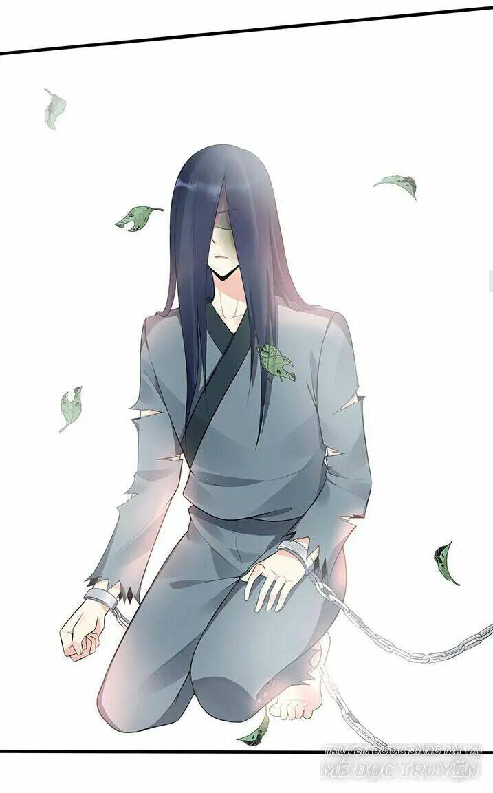 Độc Phi Thần Y Quá Kiêu Ngạo Chapter 47 - Trang 2