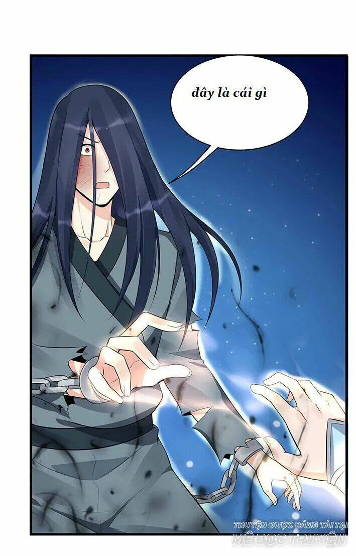 Độc Phi Thần Y Quá Kiêu Ngạo Chapter 47 - Trang 2