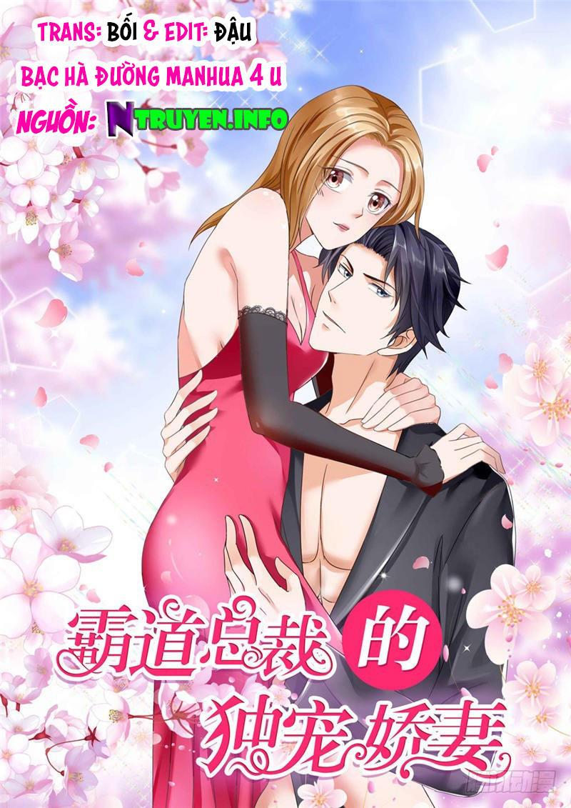 Độc Sủng Kiều Thê Của Bá Đạo Tổng Tài Chapter 6 - Trang 2