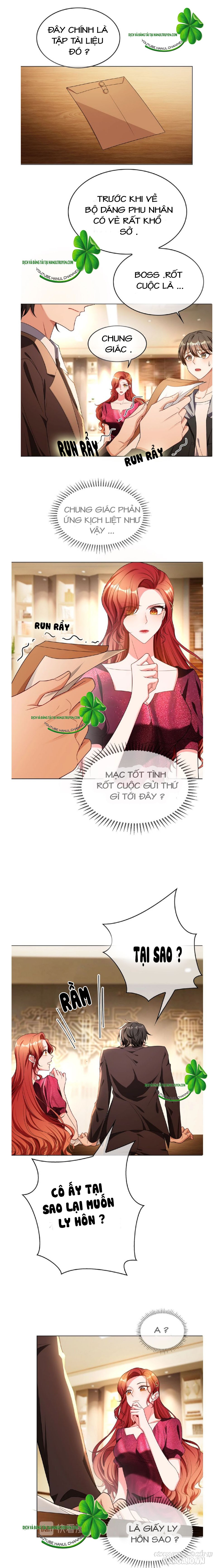 Độc Sủng Tuyệt Sắc Tiểu Kiều Thê Chapter 147 - Trang 2