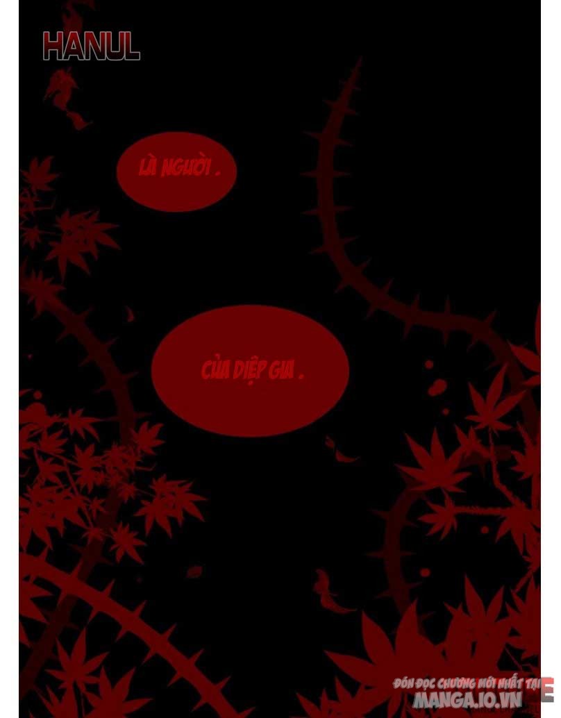 Độc Sủng Tuyệt Sắc Tiểu Kiều Thê Chapter 199.2 - Trang 2