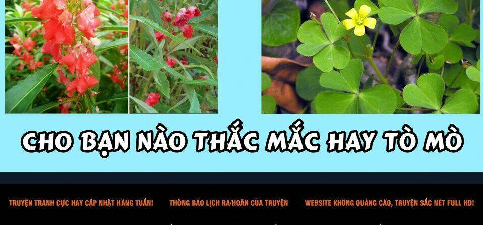 Độc Thoại Của Người Dược Sĩ Chapter 36.2 - Trang 2