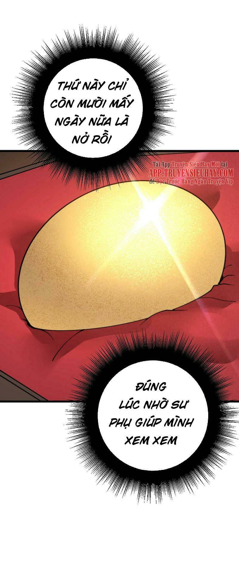 Độc Thủ Vu Y Chapter 269 - Trang 2