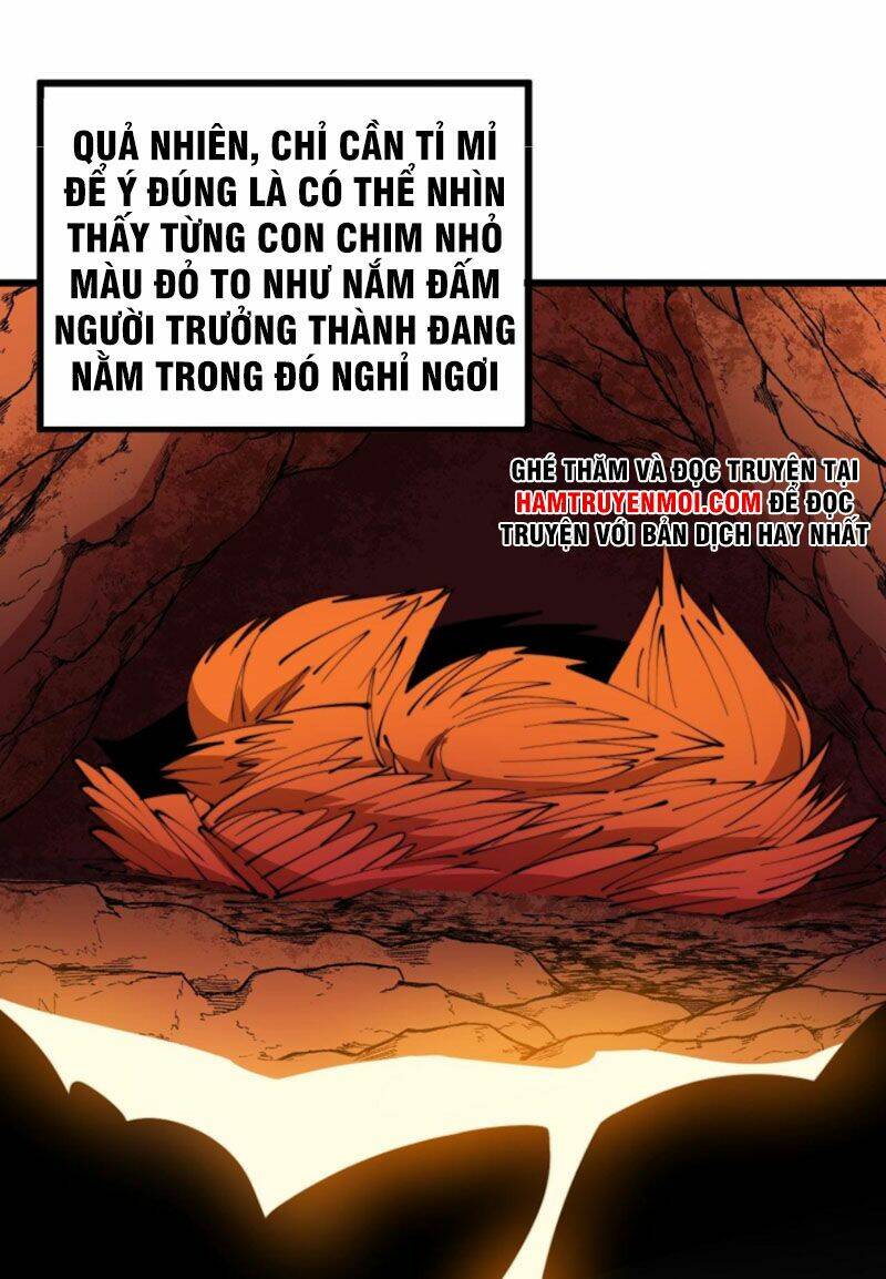 Độc Thủ Vu Y Chapter 304 - Trang 2