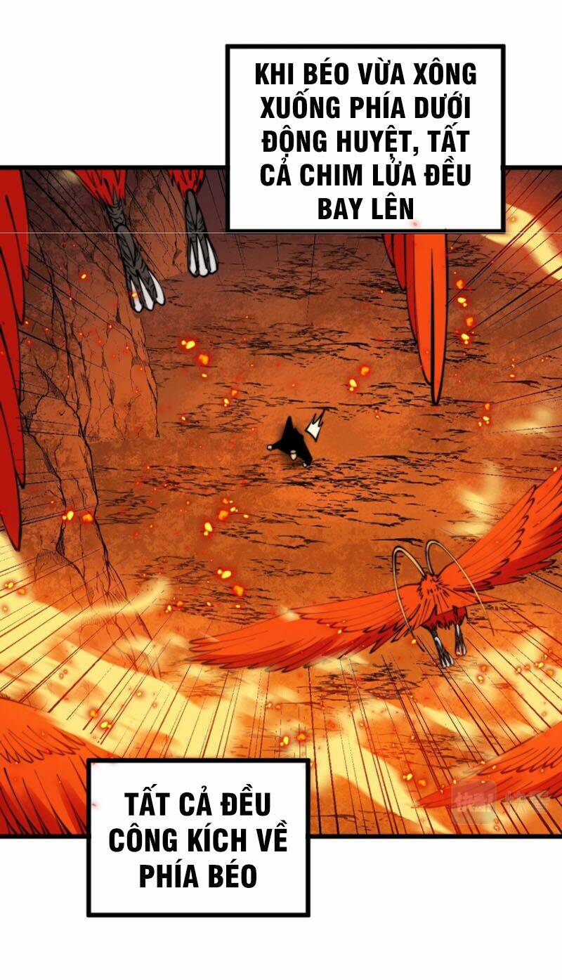 Độc Thủ Vu Y Chapter 305 - Trang 2