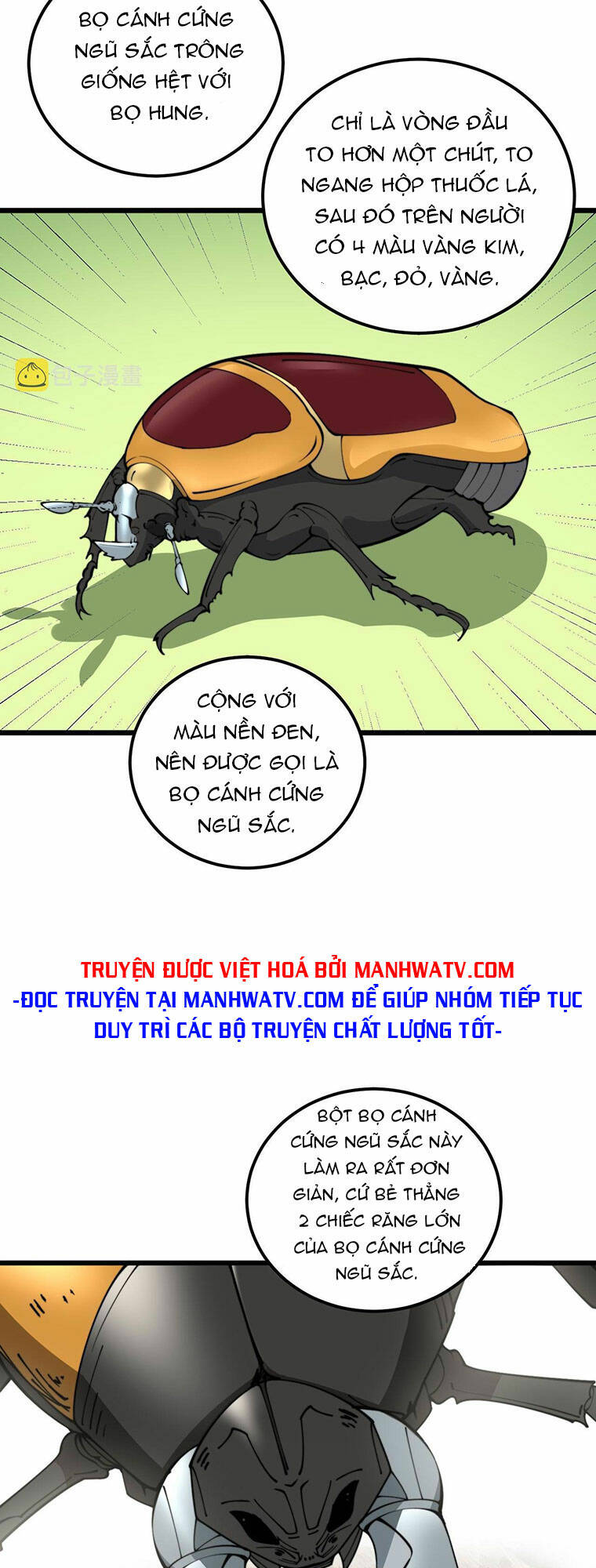 Độc Thủ Vu Y Chapter 340 - Trang 2