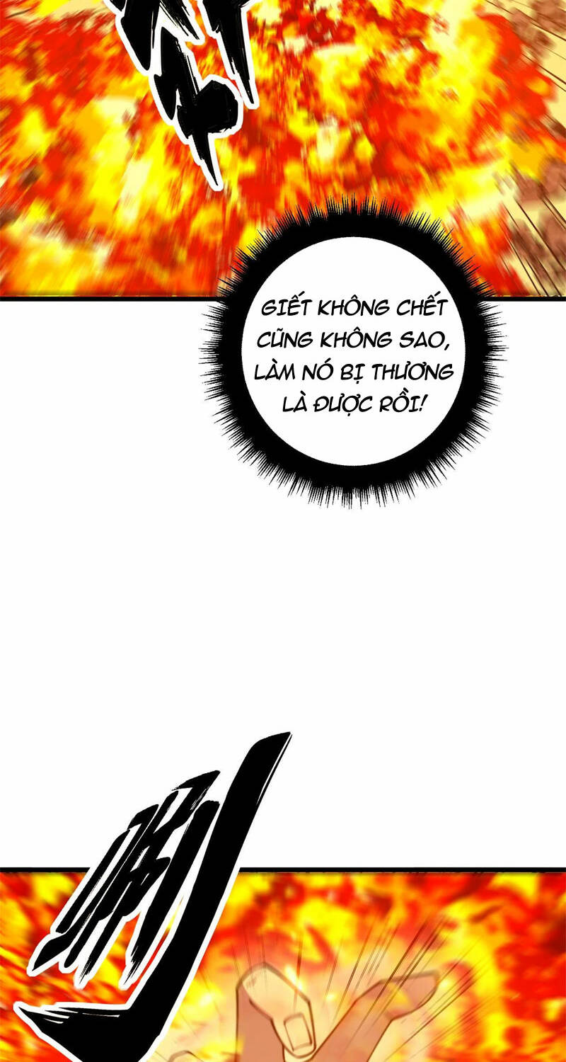 Độc Thủ Vu Y Chapter 368 - Trang 2