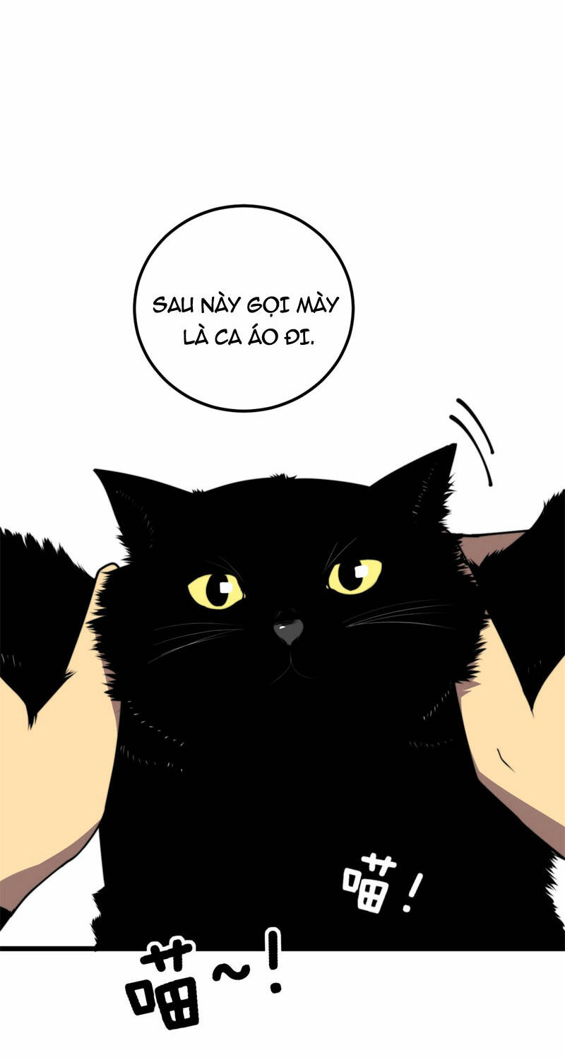 Độc Thủ Vu Y Chapter 368 - Trang 2