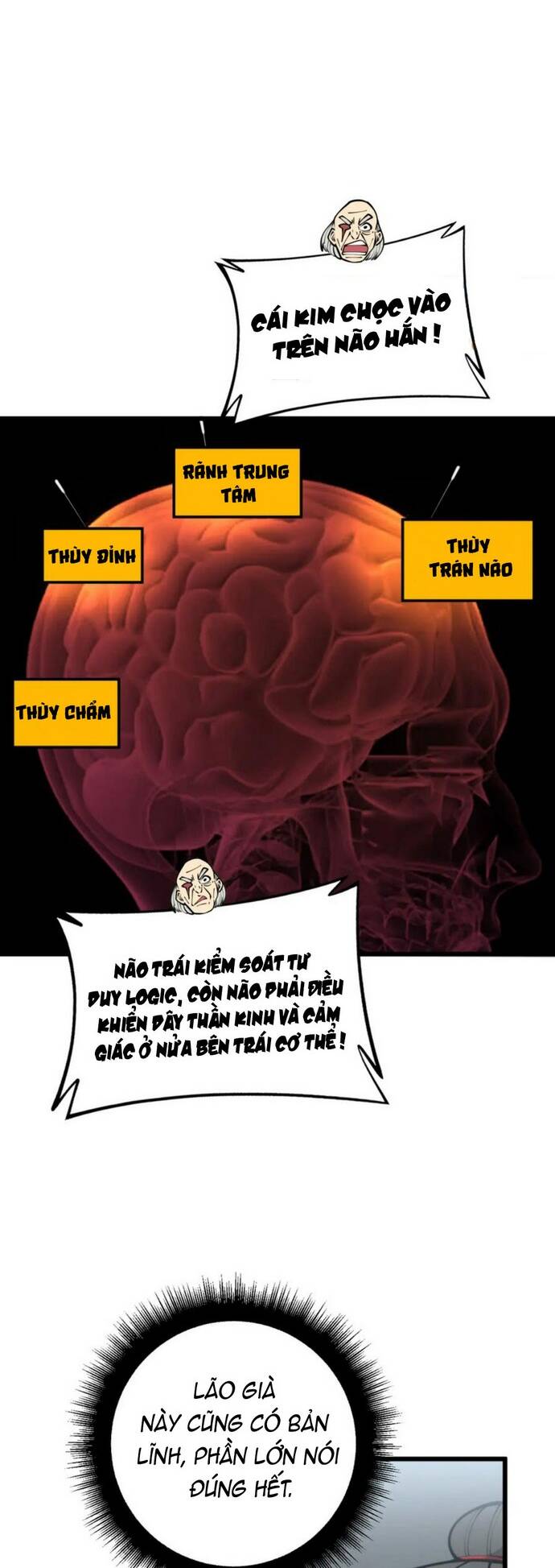 Độc Thủ Vu Y Chapter 394 - Trang 2