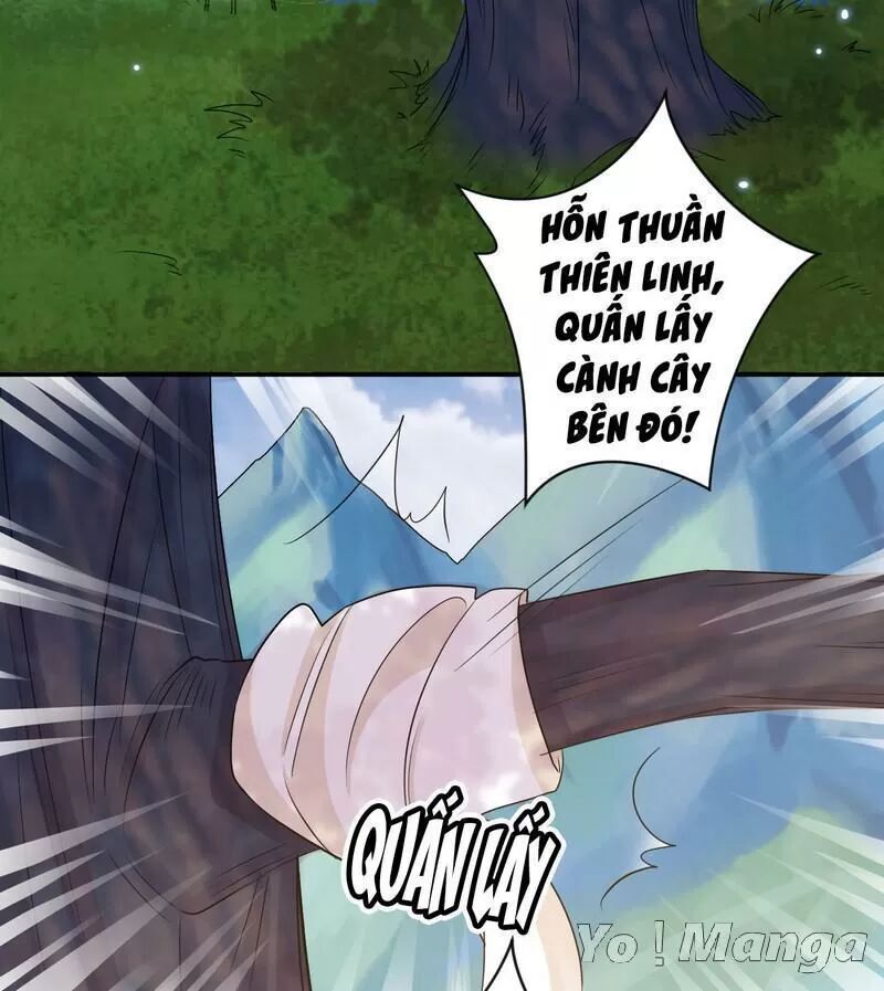 Độc Y Cuồng Phi Chapter 51 - Trang 2
