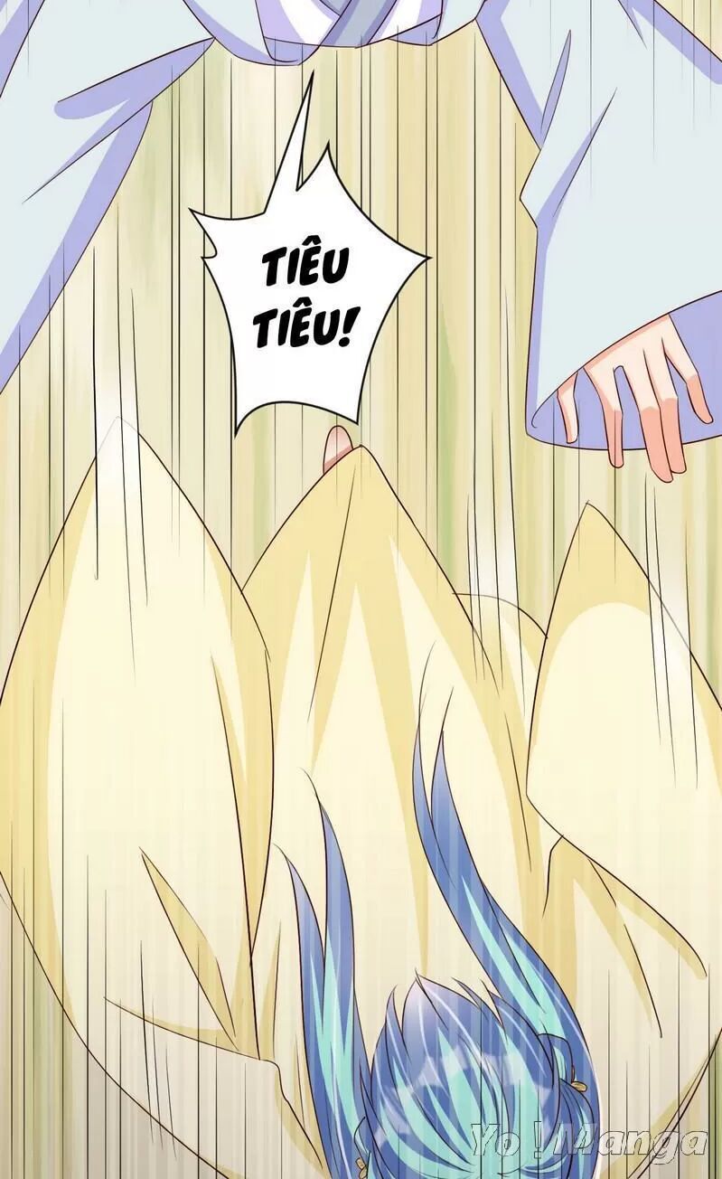 Độc Y Cuồng Phi Chapter 51 - Trang 2