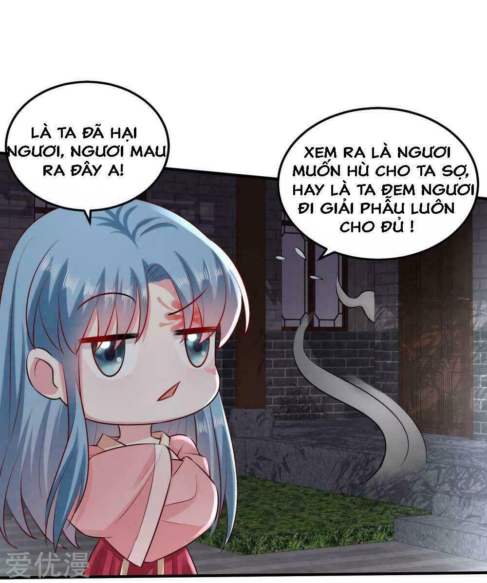 Độc Y Đích Nữ Chapter 12 - Trang 2