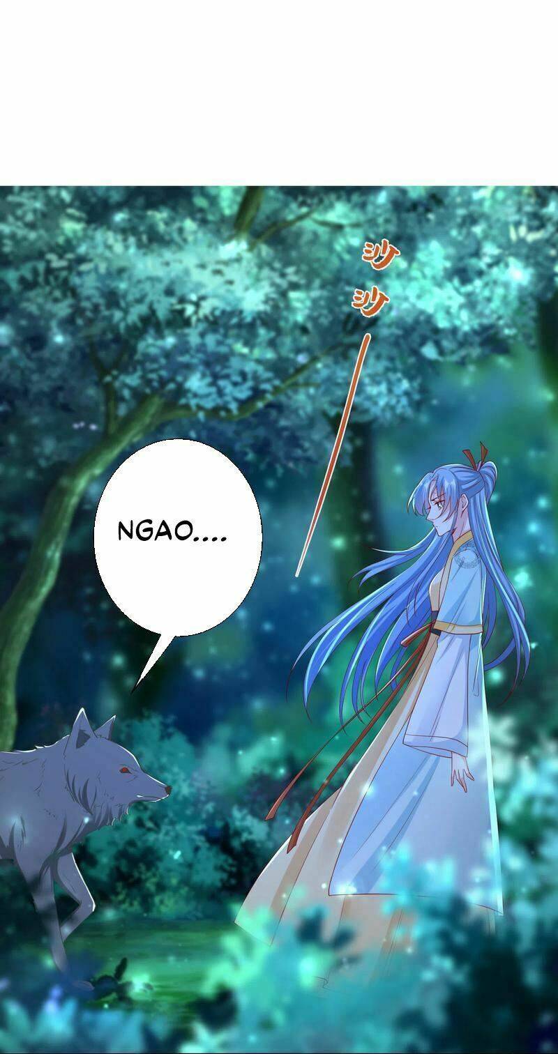 Độc Y Đích Nữ Chapter 147 - Trang 2