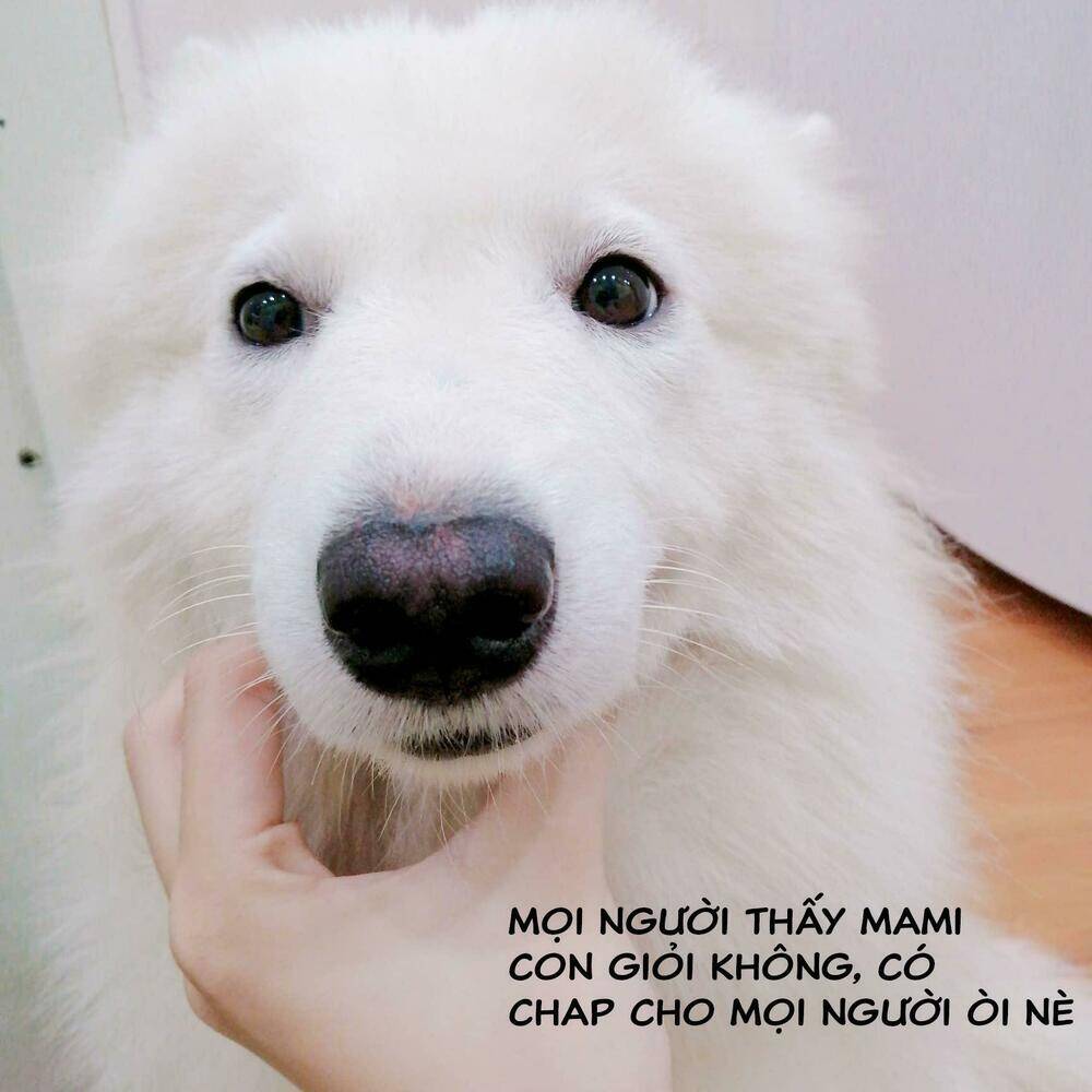 Độc Y Đích Nữ Chapter 15 - Trang 2