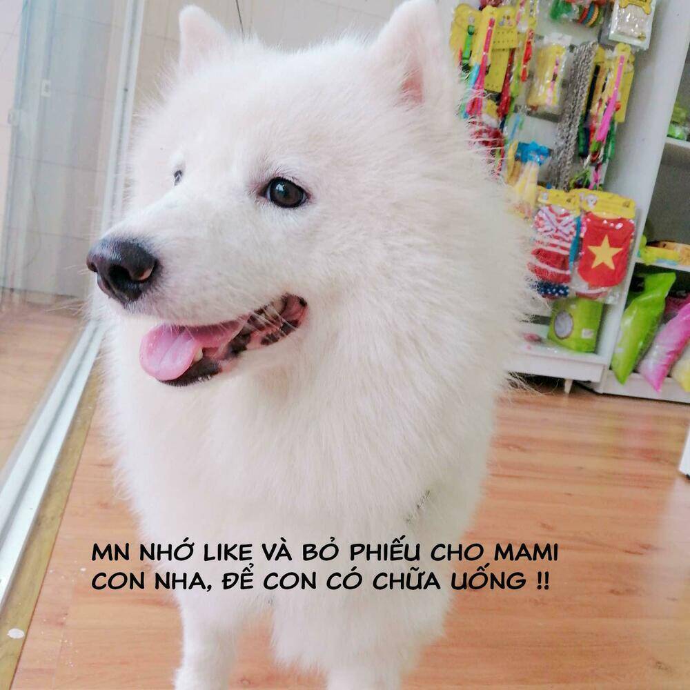 Độc Y Đích Nữ Chapter 15 - Trang 2