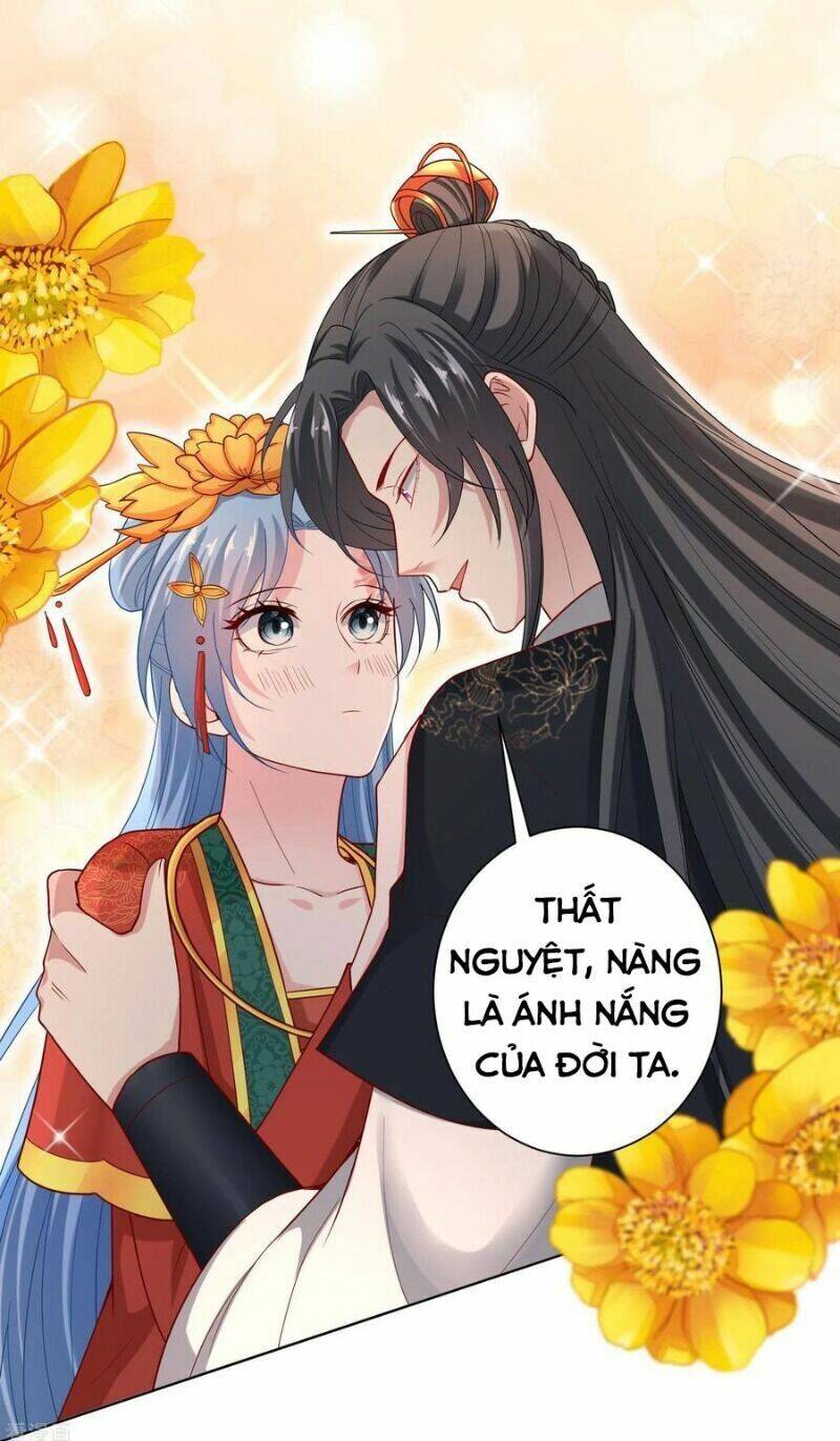 Độc Y Đích Nữ Chapter 165 - Trang 2