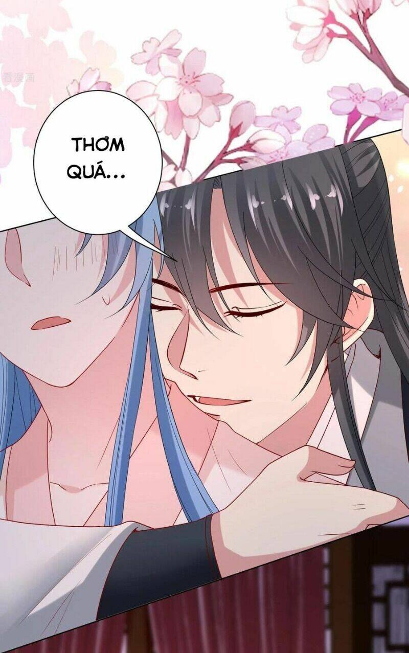 Độc Y Đích Nữ Chapter 167 - Trang 2