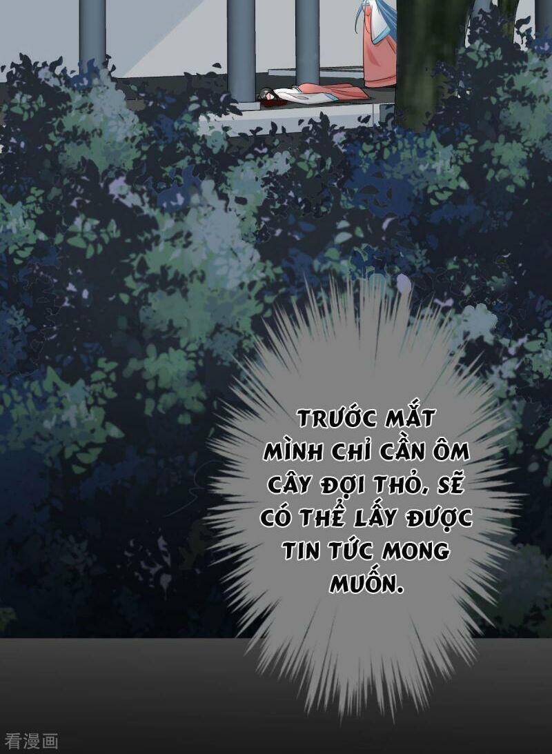 Độc Y Đích Nữ Chapter 28 - Trang 2