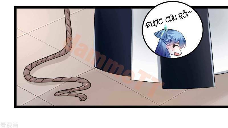 Độc Y Đích Nữ Chapter 62 - Trang 2