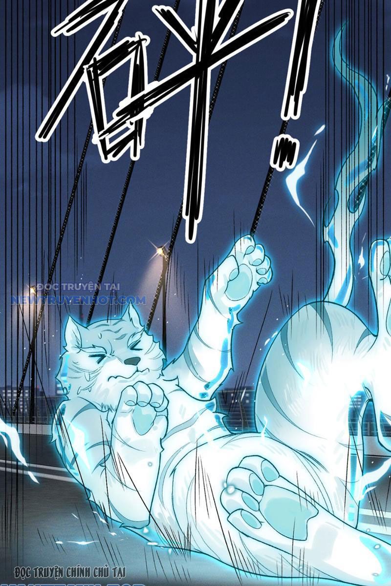 Đối Mặt Với Bệnh Tâm Thần, Ma Quỷ Chẳng Là Cái Thá Gì Chapter 7 - Trang 2