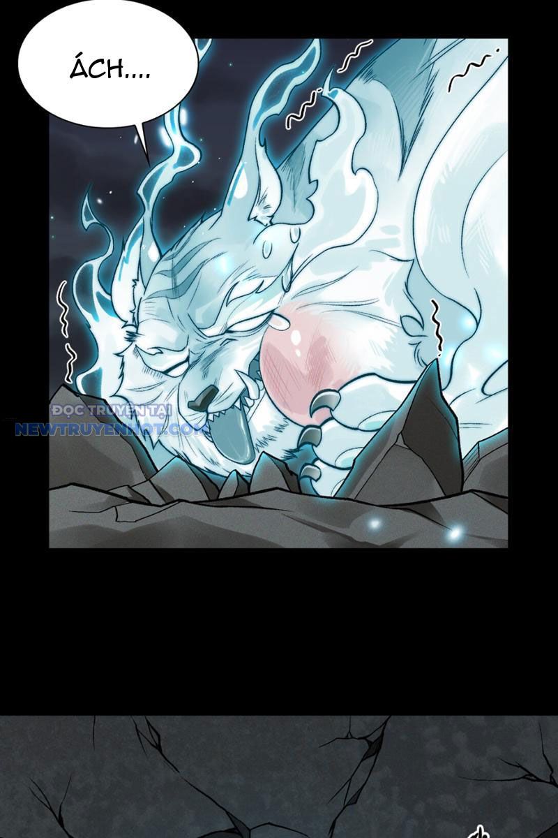 Đối Mặt Với Bệnh Tâm Thần, Ma Quỷ Chẳng Là Cái Thá Gì Chapter 7 - Trang 2