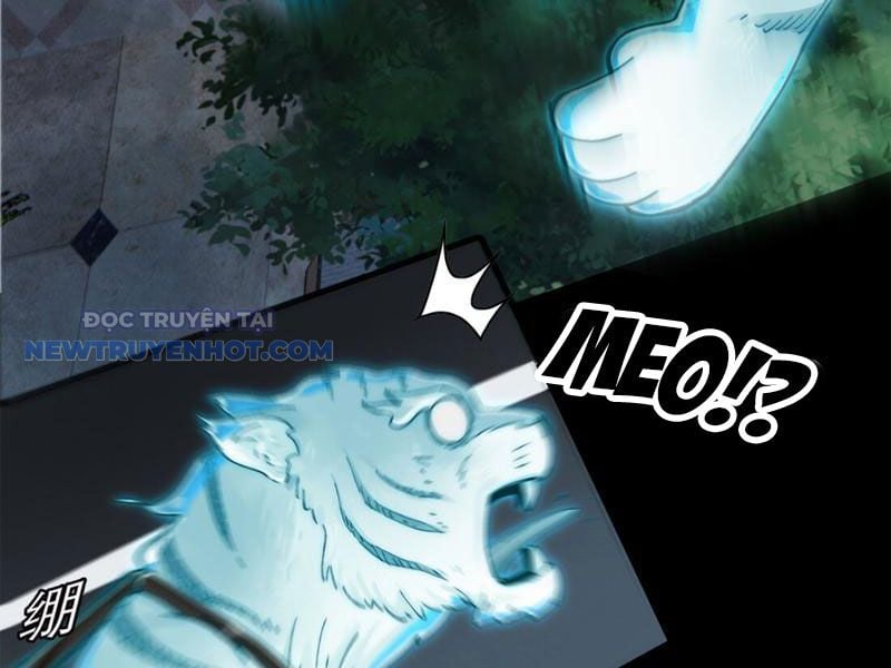 Đối Mặt Với Bệnh Tâm Thần, Ma Quỷ Chẳng Là Cái Thá Gì Chapter 8 - Trang 2